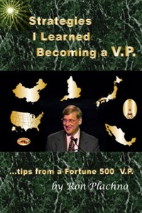 Book: Strategies I Learned Becoming A VP