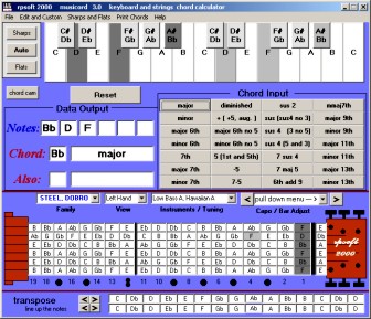 steel guitar or dobro chord usage showing left hand usage